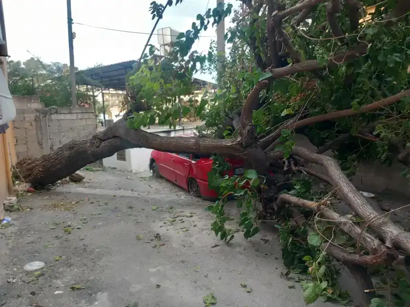 Hatay’da Şiddetli Fırtına: Ağaçlar Devrildi, Çatılar Uçtu