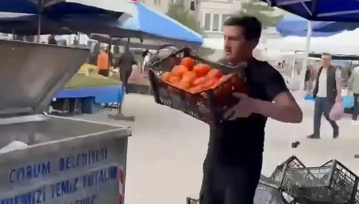 Domatesleri Çöpe Döken Pazarcıya Şok Eden Miktarda Para Cezası
