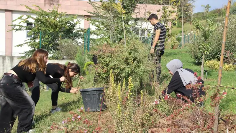 Düzce’nin Unutulmaz Hikayesi: Hayaldeki Başarı Gerçeğe Dönüşüyor
