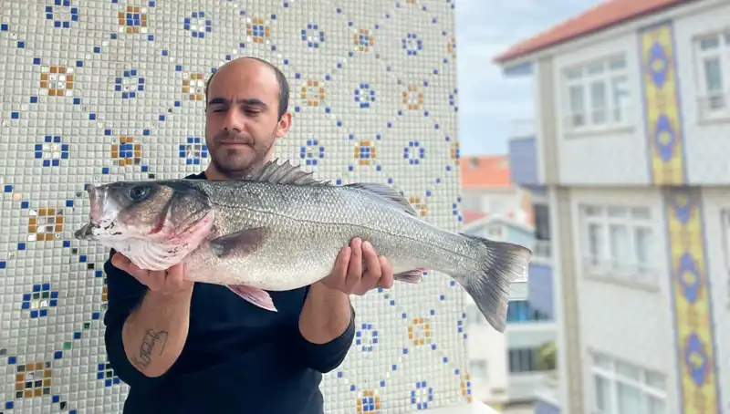 7,5 Kiloluk Dev Levrek: Balıkçıların Gözdesi Oldu!
