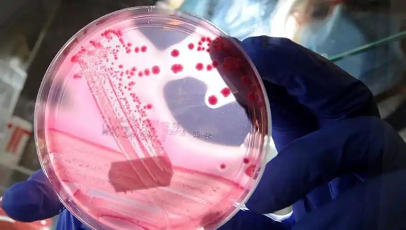 Bilim İnsanları AP2A1 Proteini Üzerindeki Keşif ile Yaşlanmayı Unutturuyor
