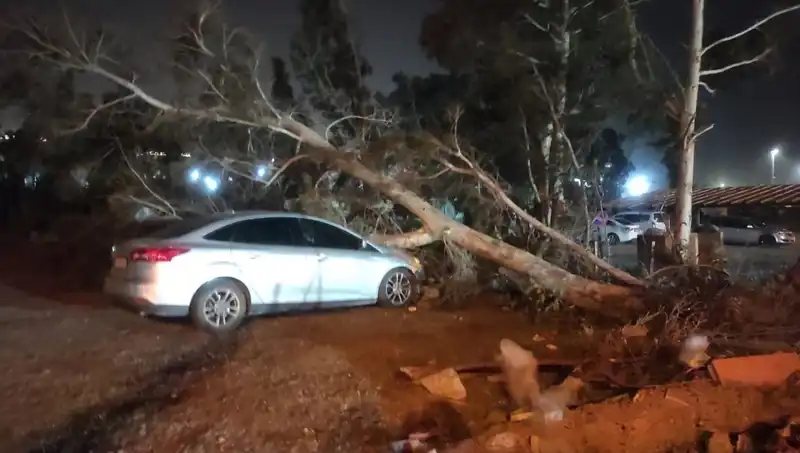 Hatay'da Fırtına: Tekneler Alabora Oldu, Ağaçlar Devrildi!