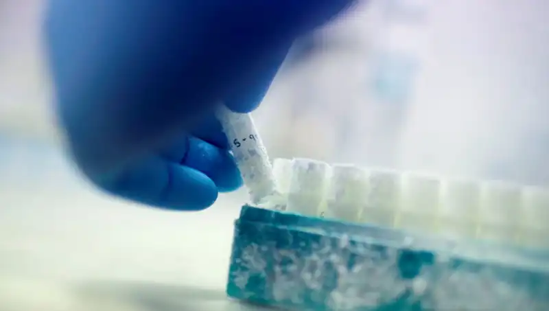 Tıbbi Felaket: 85 Sperm Donörü Binlerce Çocuğun Babası Olduğu Açıklandı!