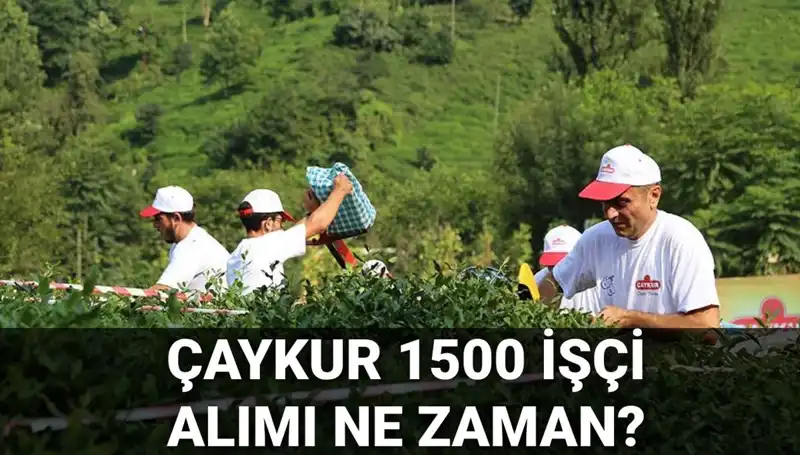 Çaykur İşçi Alımı Başvuru Tarihleri Açıklandı! Süreçte Yeni Gelişmeler