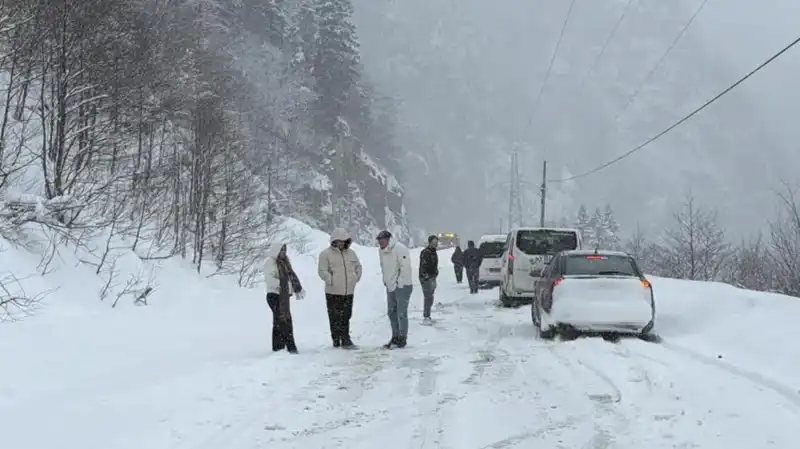 Trabzon'da Şok Eden Çığ Düşmesi: Ulaşım Felç Oldu