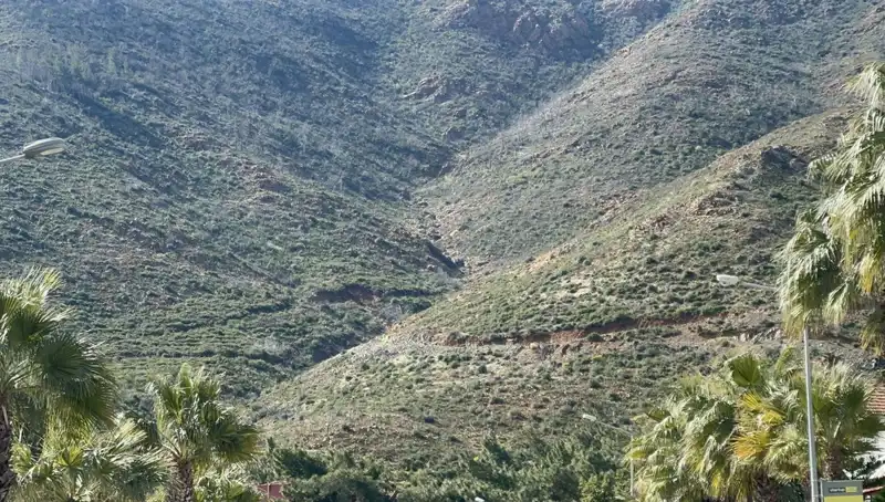 Marmaris Ormanları Yeniden Canlanıyor: Yangından Sonra 4 Bin Hektar Fidana Dönüşüyor