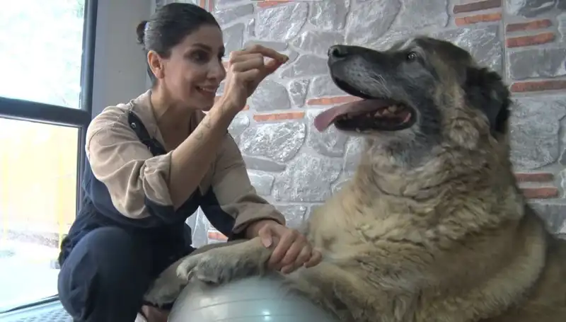 Obezite ile Mücadele: 55 Kilo Veren Duman’ın Spor ve Pilates Serüveni