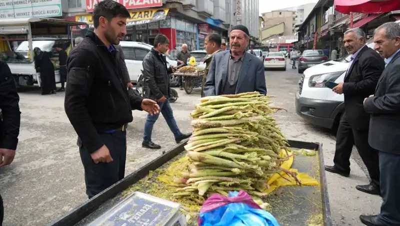 Şekerin Sağlık Faydaları: Kanser ve Mide Hastalıklarına Karşı Doğal Koruma