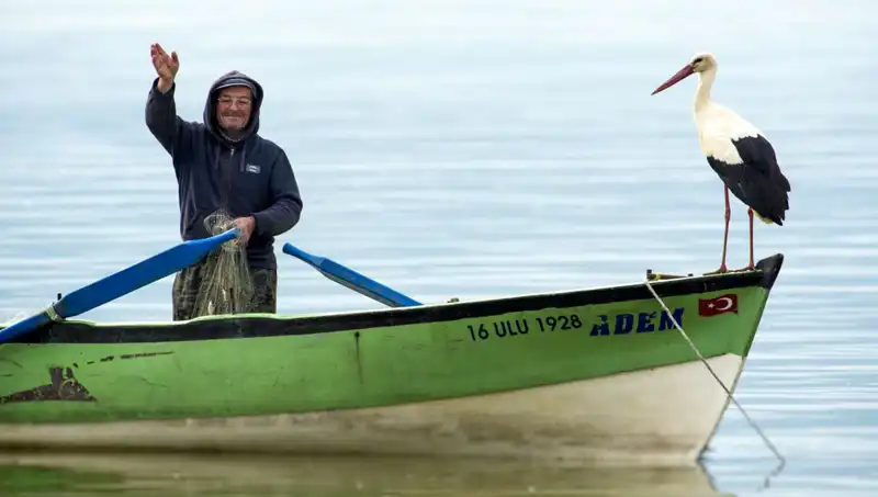 Leylek Yaren Geldi Mi? Doğanın Habercisi Muğla'ya Ulaştı!