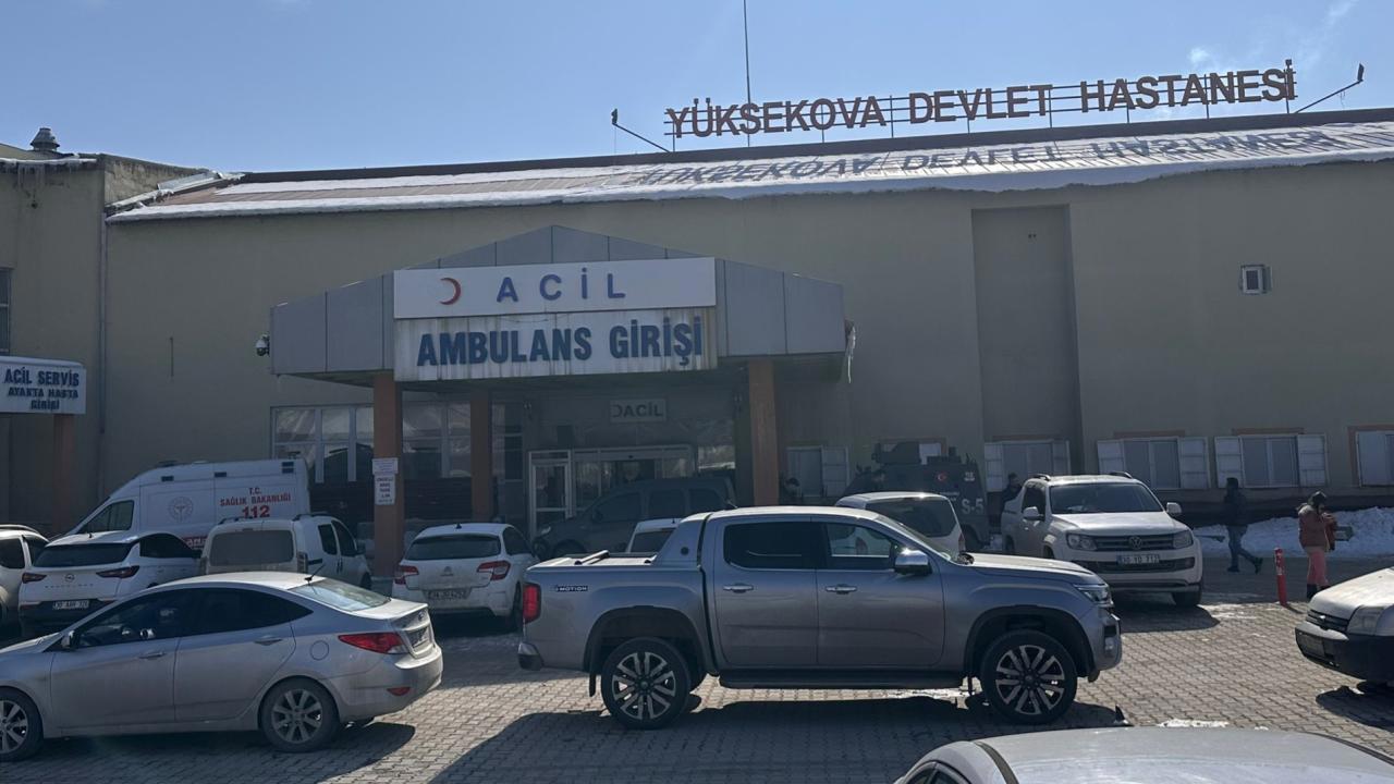 Başıboş köpeklerin saldırısı sonucu ölen çocuk için müfettiş görevlendirildi