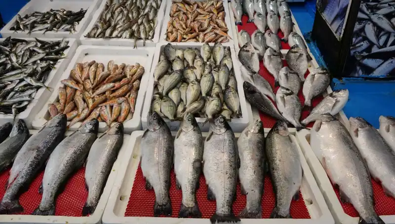 Tezgahların Gizli Sahipleri: Yasak Sonrası Yeni Dönem Başlıyor!