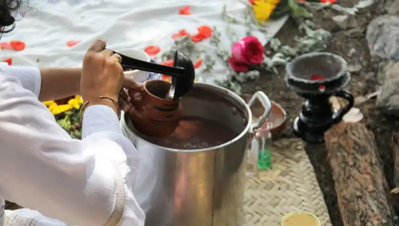 Ayahuasca: Şifalı Çayın Gizemi ve Yasal Durumu Nedir?