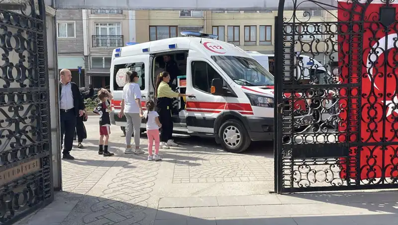 Eskişehir'de Sahipsiz Köpek İki Çocuğa Saldırdı: Olayın Ardındaki Gerçekler