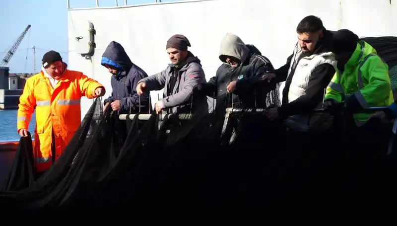 Denizlerde Hamsi Avı Kıtlığı: Balıkçı Tekneleri Neden Erken Dönüyor?