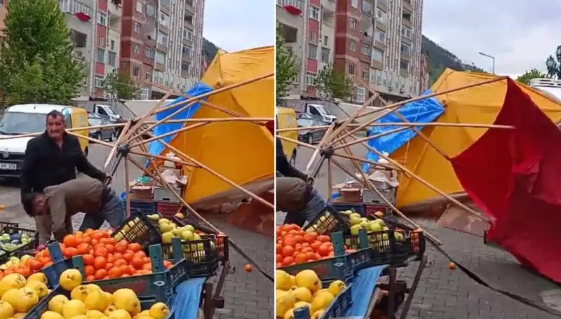 Artvin'de Fırtına: Doğa Olayının Yıkıcı Etkileri ve Son Gelişmeler