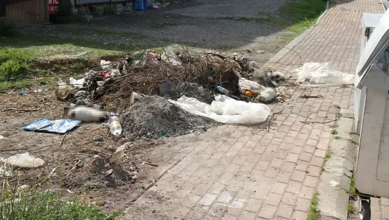 Antalya'da Korkunç Vahşet: 10 Kedi Ölü Bulundu!