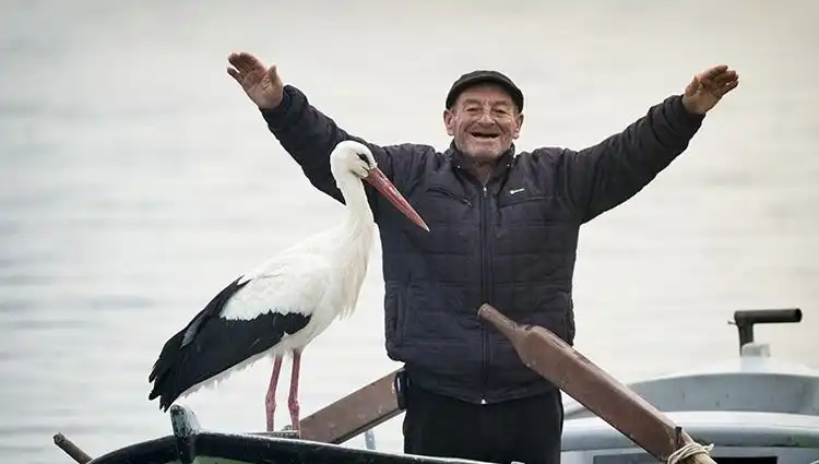 Doğa Fotoğrafçısı Alper Tüydeş'in Yaren Leylek Macerası Canlı Yayınla İzleniyor!