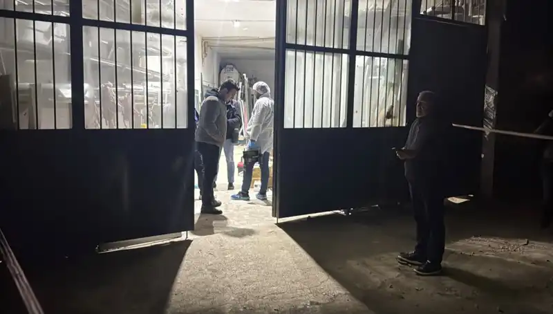 İş Yerinde Korkunç Cinayet: Canice Bir Plan ve Gizemli Detaylar