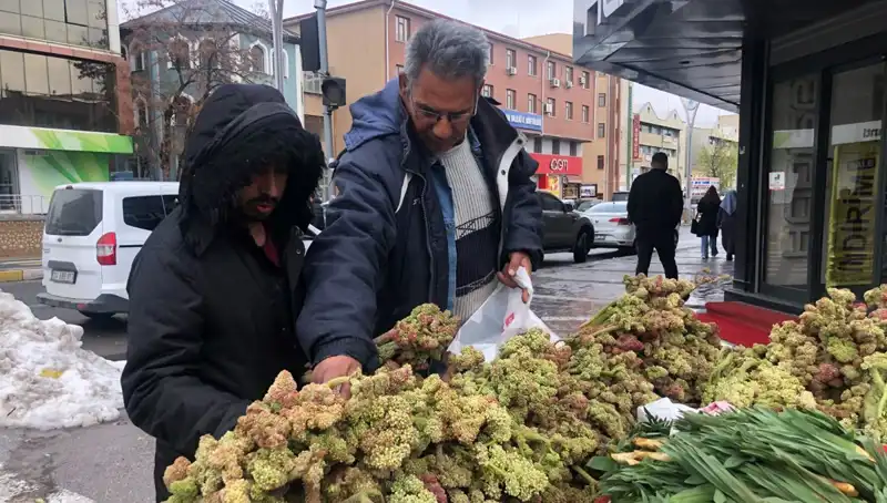 Gıda Tezgahlarında Yerini Alan Bu Bitki, Kanserle Mücadelede Umut Oluyor!